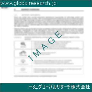 グローバルリサーチ調査資料のイメージ